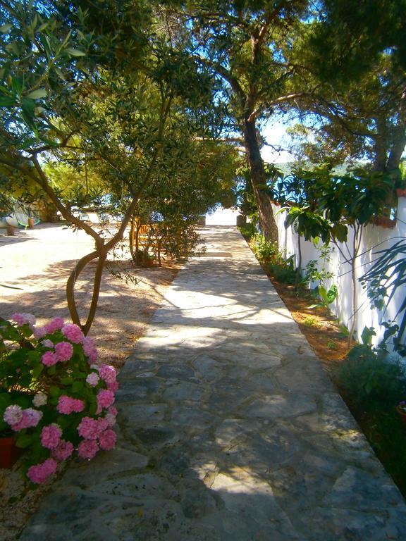 Bed & Breakfast Pansion Rade Ξενοδοχείο Pirovac Εξωτερικό φωτογραφία